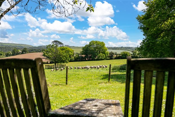 Seating with view across farm fields with grazing sheep.